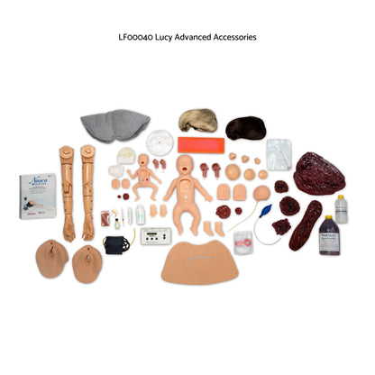 Luma Birthing Simulator | Anatomically Accurate, Realistic Training Tool 2
