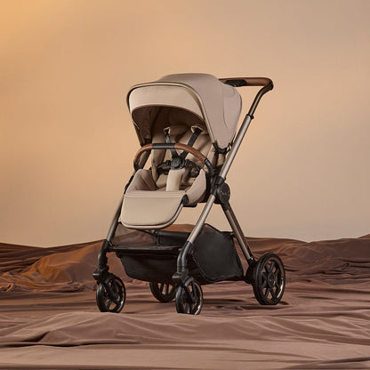 Rally 2 SE Frappe Travel Bundle | All-Terrain Pushchair Set 2