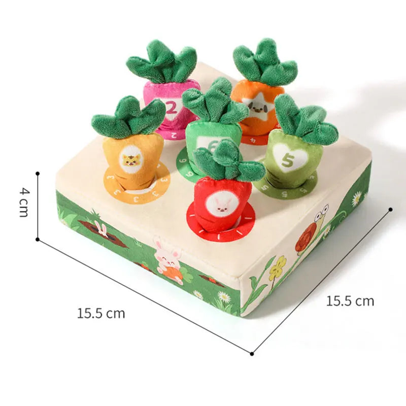 LittleHarvest™ – Educatief Speelplezier met Worteltjes - LittleWonders